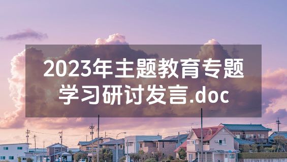 2023年主题教育专题学习研讨发言.doc