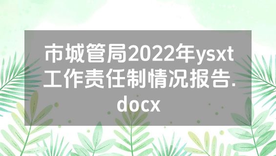市城管局2022年ysxt工作责任制情况报告.docx