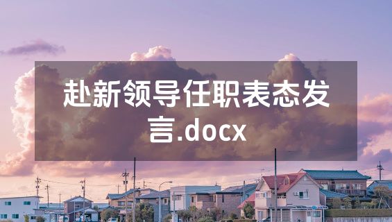 赴新领导任职表态发言.docx