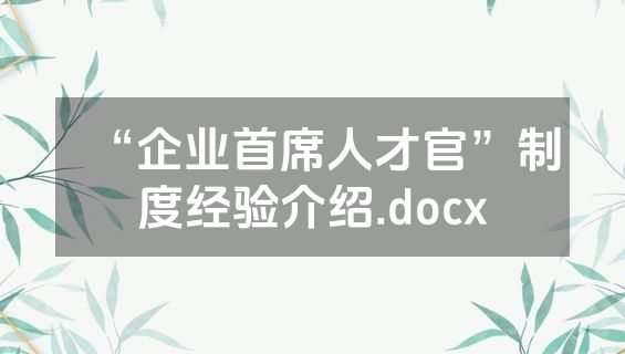 “企业首席人才官”制度经验介绍.docx