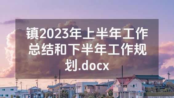 镇2023年上半年工作总结和下半年工作规划.docx