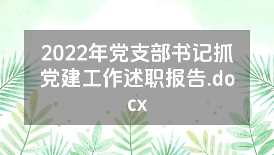 2022年党支部书记抓党建工作述职报告.docx