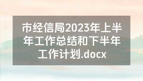 市经信局2023年上半年工作总结和下半年工作计划.docx