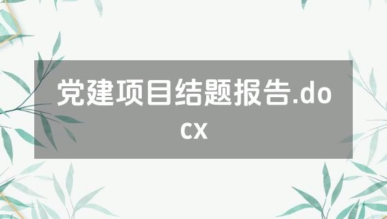 党建项目结题报告.docx