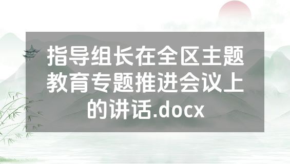 指导组长在全区主题教育专题推进会议上的讲话.docx