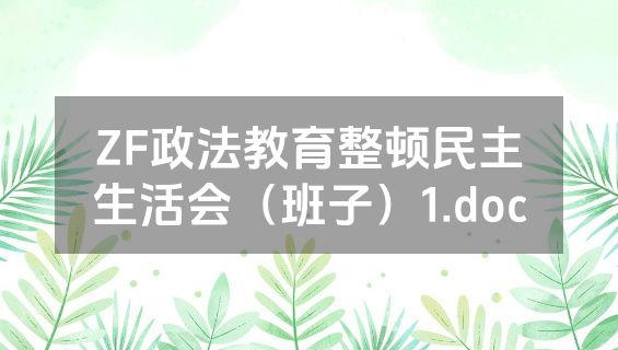 ZF政法教育整顿民主生活会（班子）1.doc