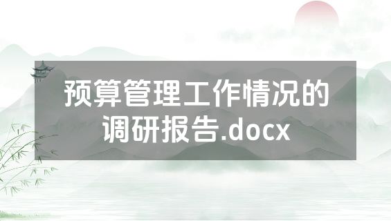 预算管理工作情况的调研报告.docx
