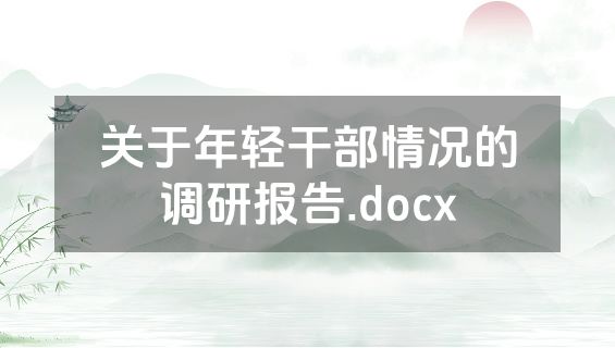 关于年轻干部情况的调研报告.docx