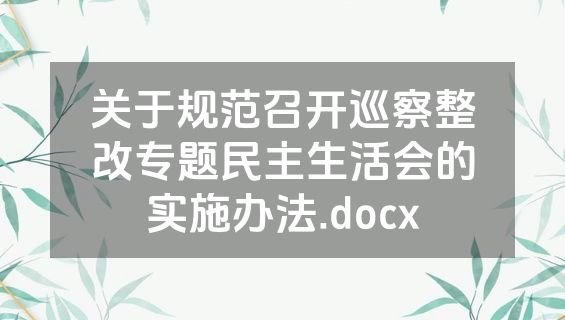 关于规范召开巡察整改专题民主生活会的实施办法.docx