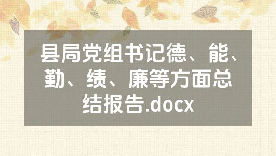县局党组书记德、能、勤、绩、廉等方面总结报告.docx