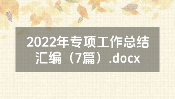 2022年专项工作总结汇编（7篇）.docx
