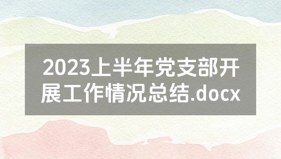 2023上半年党支部开展工作情况总结.docx