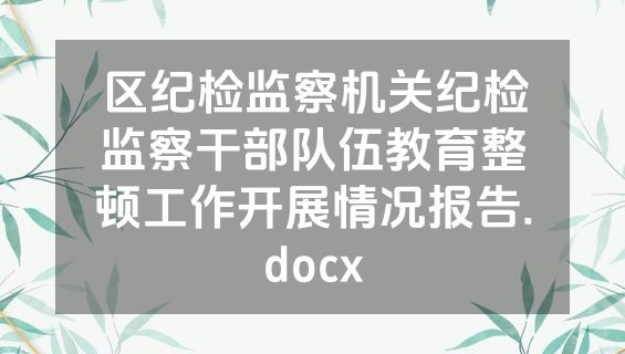 区纪检监察机关纪检监察干部队伍教育整顿工作开展情况报告.docx