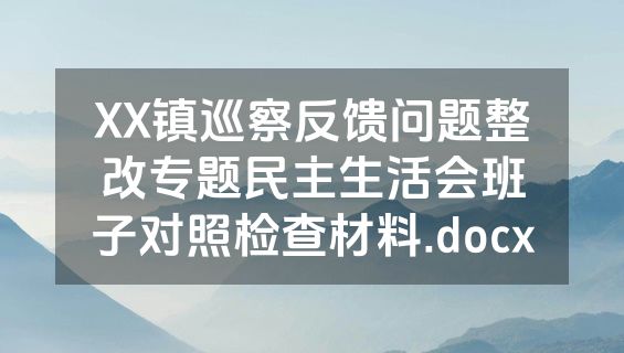 XX镇巡察反馈问题整改专题民主生活会班子对照检查材料.docx