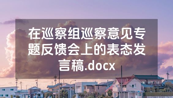 在巡察组巡察意见专题反馈会上的表态发言稿.docx