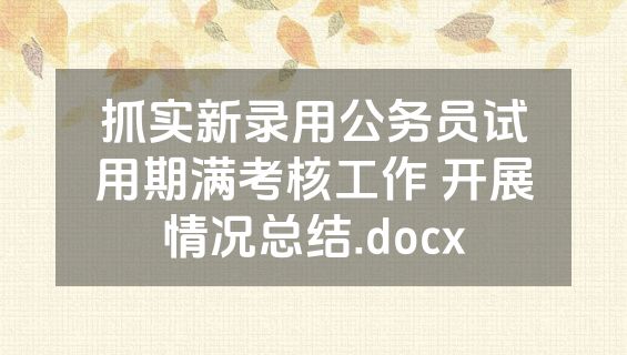 抓实新录用公务员试用期满考核工作 开展情况总结.docx