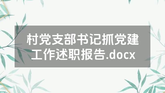 村党支部书记抓党建工作述职报告.docx