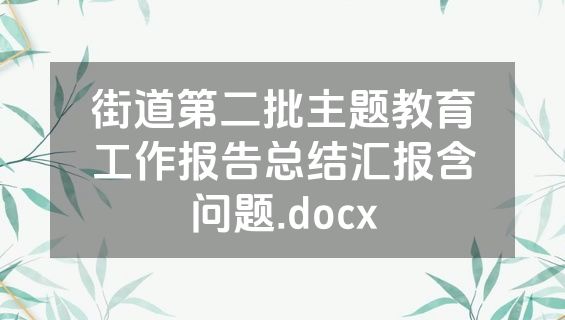 街道第二批主题教育工作报告总结汇报含问题.docx