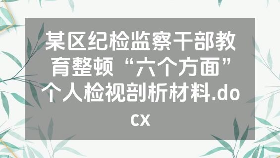 某区纪检监察干部教育整顿“六个方面”个人检视剖析材料.docx