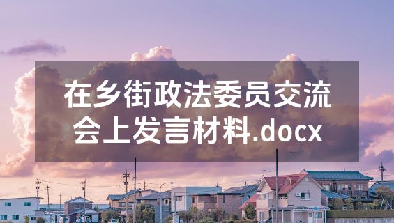 在乡街政法委员交流会上发言材料.docx
