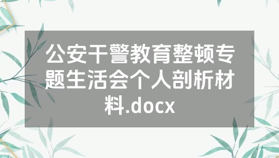 公安干警教育整顿专题生活会个人剖析材料.docx