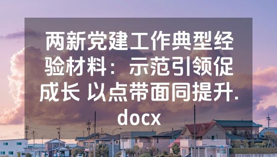 两新党建工作典型经验材料：示范引领促成长 以点带面同提升.docx
