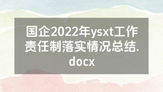 国企2022年ysxt工作责任制落实情况总结.docx