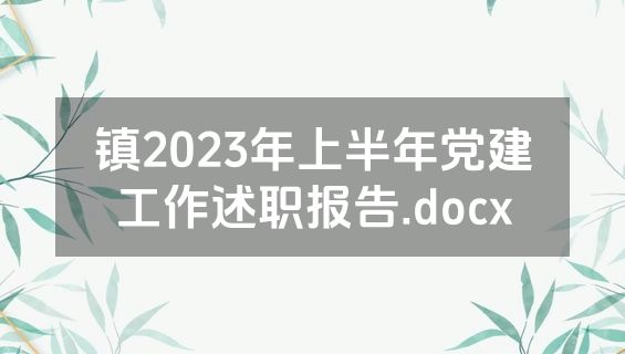 镇2023年上半年党建工作述职报告.docx