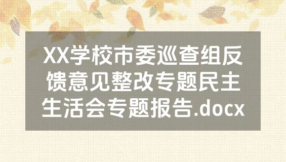 XX学校市委巡查组反馈意见整改专题民主生活会专题报告.docx