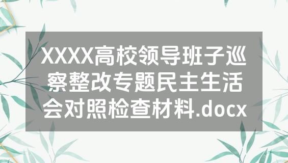 XXXX高校领导班子巡察整改专题民主生活会对照检查材料.docx