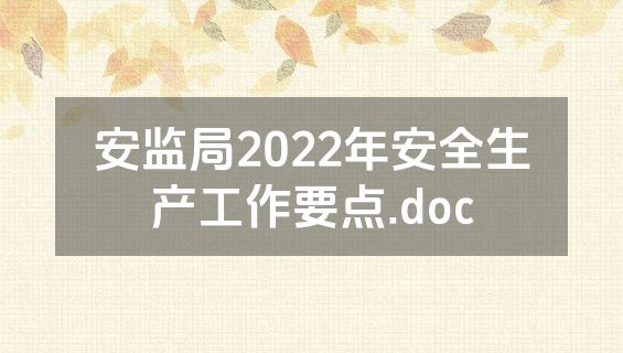 安监局2022年安全生产工作要点.doc