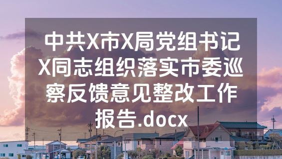 中共X市X局党组书记X同志组织落实市委巡察反馈意见整改工作报告.docx