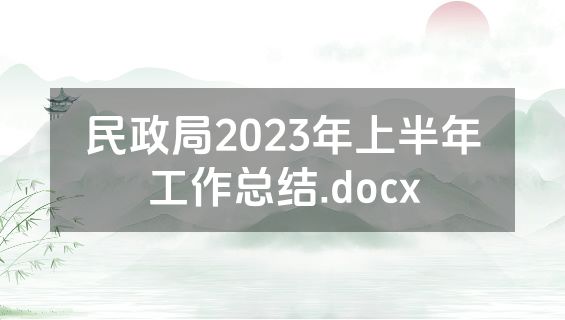 民政局2023年上半年工作总结.docx