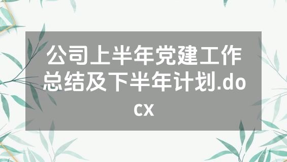 公司上半年党建工作总结及下半年计划.docx
