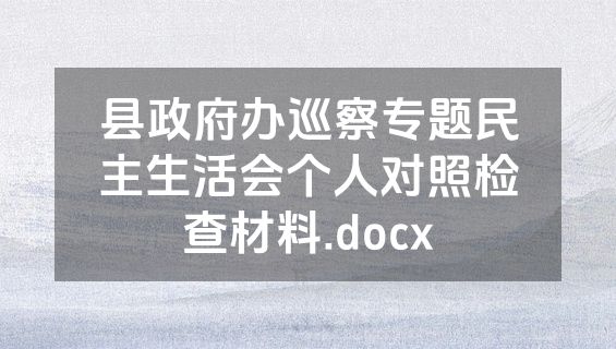 县政府办巡察专题民主生活会个人对照检查材料.docx