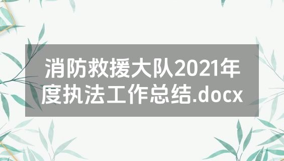 消防救援大队2021年度执法工作总结.docx