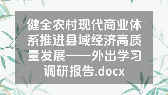 健全农村现代商业体系推进县域经济高质量发展——外出学习调研报告.docx