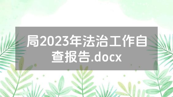 局2023年法治工作自查报告.docx