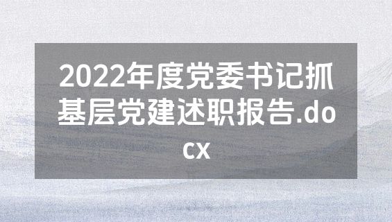 2022年度党委书记抓基层党建述职报告.docx