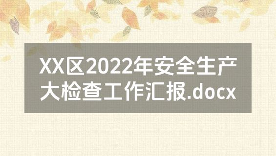 XX区2022年安全生产大检查工作汇报.docx