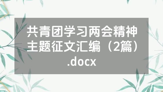 共青团学习两会精神主题征文汇编（2篇）.docx