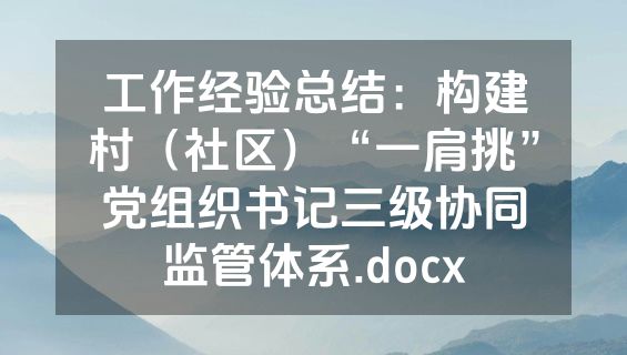 工作经验总结：构建村（社区）“一肩挑”党组织书记三级协同监管体系.docx