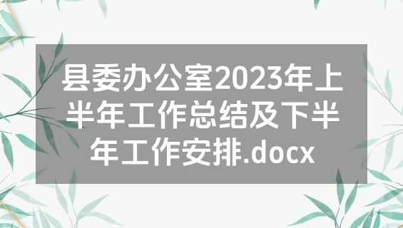 县委办公室2023年上半年工作总结及下半年工作安排.docx
