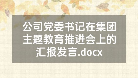 公司党委书记在集团主题教育推进会上的汇报发言.docx