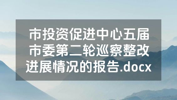 市投资促进中心五届市委第二轮巡察整改进展情况的报告.docx