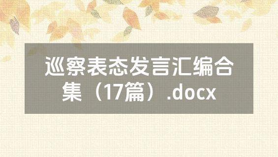 巡察表态发言汇编合集（17篇）.docx