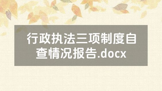 行政执法三项制度自查情况报告.docx
