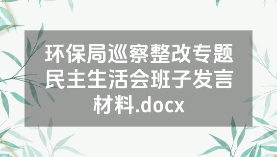 环保局巡察整改专题民主生活会班子发言材料.docx