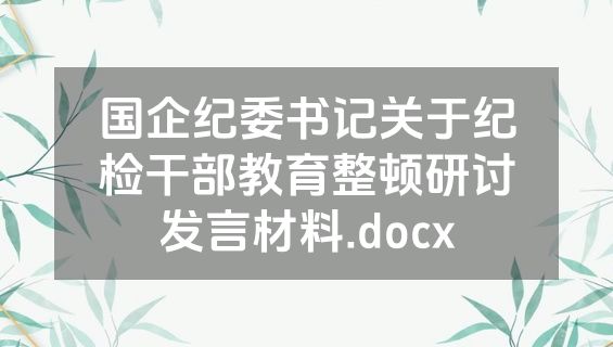 国企纪委书记关于纪检干部教育整顿研讨发言材料.docx