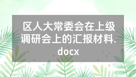 区人大常委会在上级调研会上的汇报材料.docx